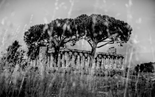 Paestum